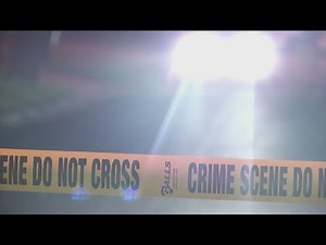 Georgia lawmakers push to expand gang task force as investigators warn of rising threat