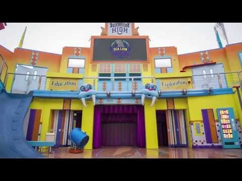 Sea Lion High | SeaWorld Orlando
