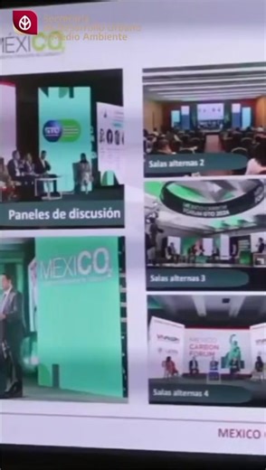 🌿 #Tamaulipas avanza con visión de futuro Durante 2025, el Gobierno del Estado de Tamaulipas fortaleció la planeación urbana, protegió el medio ambiente y colocó a las personas en el centro de cada acción. Bajo el liderazgo del gobernador Américo Villarreal, con el trabajo de la secretaria Karina Saldívar Lartigue y el respaldo del #GobiernodeMéxico que encabeza la presidenta Claudia Sheinbaum Pardo, el estado sigue avanzando hacia una transformación sostenible y con sentido humao. Caza y Pesca