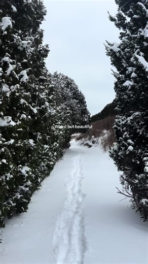 Snow on the Beach: A Winter Wonderland Experience