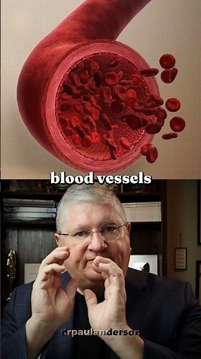 How Nitric Oxide and cGMP Relax Your Blood Vessels