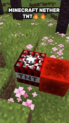 MINECRAFT NETHER TNT🔥🔥 #minecraft #shorts