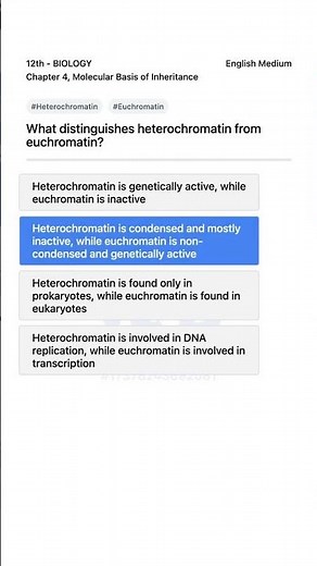 Understanding Heterochromatin vs Euchromatin 12th Biology