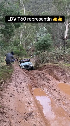 Exploring the LDV T60: Performance and Features