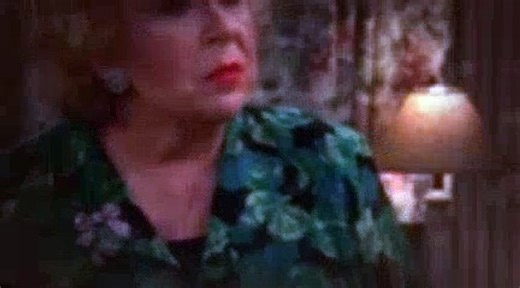 Everybody Loves Raymond Season 2 Episode 21 Traffic School