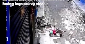 Video: Khỉ hung dữ lao vào tấn công, bắt cóc bé gái đang chơi một mình