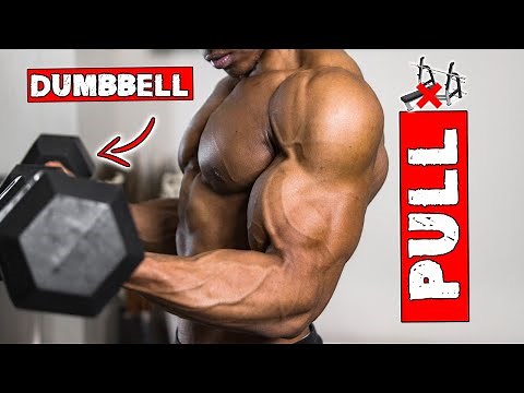 20 MINUTE PULL WORKOUT AT HOME | LIGHT DUMBBELLS ONLY