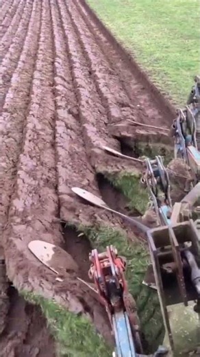 Tractor Therapy - Moldboard Plow