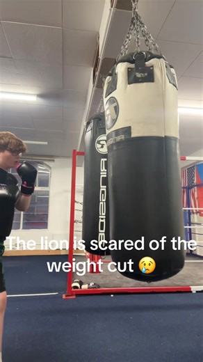 Coping with Weight Cuts in MMA Training