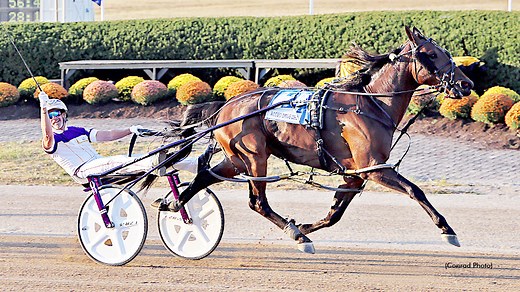 Rodeo Drive Deo Prevails In Battle Of Jugette Elim Winners