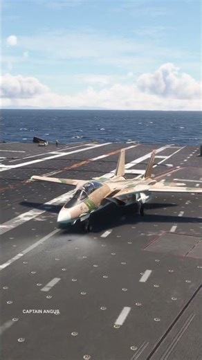 Grumman F-14A NFWS Tomcat #automobile #shorts