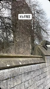 Get ready for an adventure this February half term! Our Child Friendly Cardiff team has created nine unique Story Trails across our city, just waiting for you to explore. Discover stories inspired by Welsh folklore, written by local storytellers and shaped by the imaginative minds of our school kids. Best of all, it’s FREE, fun, and a great way to enjoy Cardiff’s outdoor spaces. From Cardiff Bay to Bute Park, Forest Farm to Caerau Fort, every trail is a new story. Start your adventure today! #ch