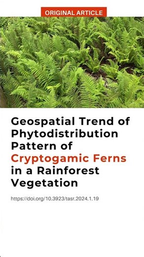 How Do Cryptogamic Ferns Distribute Across Rainforest Landscapes?