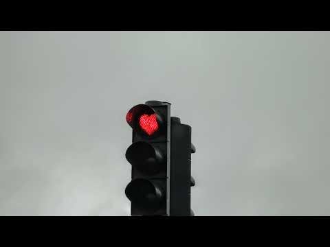 What happened to Johnny Gat?