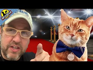 Do you remember Morris the 9 Lives Cat?
