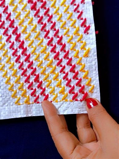 Beautiful Plastic and Canvas Embroidery Art