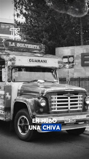 Licor, una chiva que, según los abogados, habría tenido conocimiento de la Universidad y muchas interrogantes rodean la muerte de Nathaly Mafla. Mientras se exige explicaciones a la Escuela Politécnica Nacional, el joven que vio por última vez a Nathaly con vida no se presentó a rendir versión, alegando que debía “preparar su defensa” El caso de Nathaly Mafla sigue sin esclarecerse… y cada vez genera más dudas. #ecuador #desaparecidos #nataly #Quito #ecuatorianosporelmundo🇪🇨🌏💫