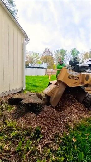 How much mulch does a stump make you ask? All of it. All the mulch! #stumpgrinding #stumpgrinder