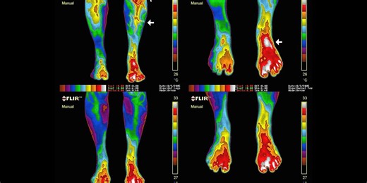 The.Earthing.Movie.2019