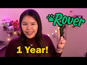 One Year On Rover Cat Sitting: How's Business, Working with Addison, Into the New Year