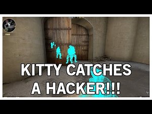KITTY CATCHES A HACKER! (CS:GO Overwatch)