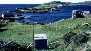 Newfie music on Reels