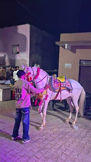 new tarending hors dance #viralvideo #shortvideos #challenge #dance #horse
