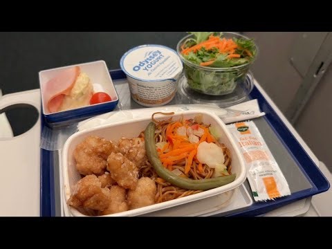 All Nippon Airways Economy Class Review | NH 159 | JFK to HND