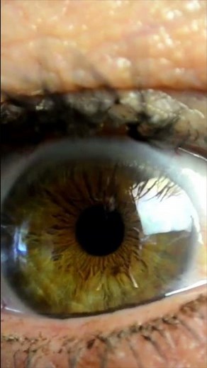 The Human Eye vs Camera: Which is Better? #shorts #science #biology #eyes #camera #light #learning