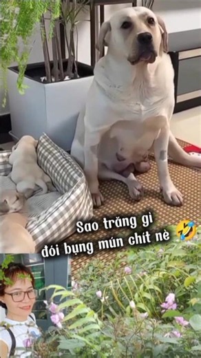 Đói bụng mún chít nè🤣