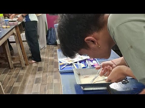 Biology Practicals - Cockroach dissection