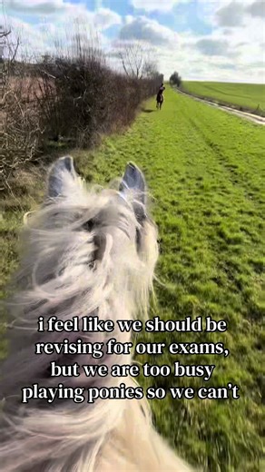 @jasmine🐎 i mean we can always listen to macbeth while on our hack 🤷‍♀️🤷‍♀️ #playingponies #hacking #speedy #exams