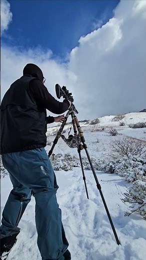 FX DRS Tactical .22 cal. 500mm