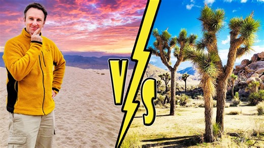 Death Valley vs Joshua Tree: Which Desert Park Wins?