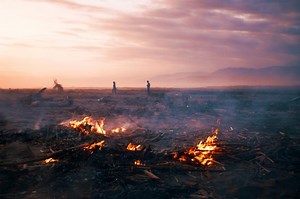 Understanding Human Impact on Environmental Degradation | LoveToKnow