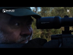 Visor Vortex Strike Eagle 5-25x56 FFP | Iberaliago