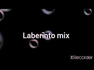 India perra mix laberinto