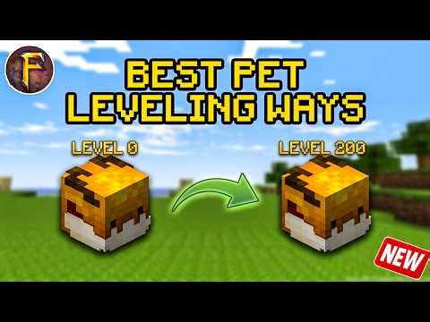 STOP Wasting Time! Best Pet Leveling Methods in Fakepixel Skyblock