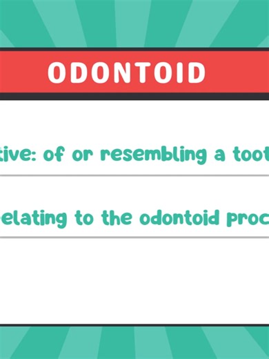 📝Word of the Day 🗓️February 24, 2026 odontoid - adjective: of or resembling a tooth 📣Follow us on tiktok @jacks.english For more daily word of the day updates to grow your vocabulary.🙌 #wordoftheday #fyp #onlineteaching #vocabularyenglish #hiringnow #applynow #learnenglish #fypageシ♡❤️