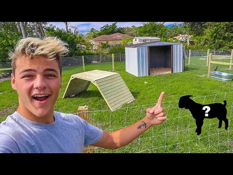 BUILDING My *NEW* GOAT ENCLOSURE!!