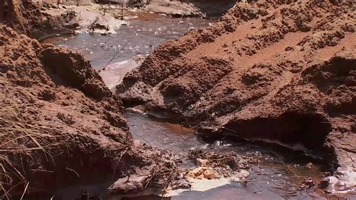 Saltwater contamination kills cattle, threatens water in western Oklahoma: 'It’s devastating'