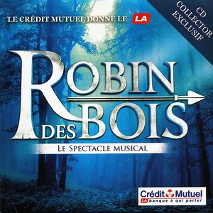 La Troupe De Robin Des Bois - Robin Des Bois - Le Spectacle Musical