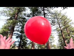 8 Red Balloons Flying, Floating and Popping on a Windy Day, 4K UHD, Forest Balloon Play to Pop 42