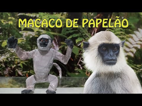 How to make a cardboard monkey