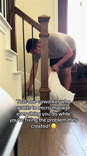 He’s my supervisor today while I fix the stair he destroyed #germanshepherd #gsd #funny #funnydogs