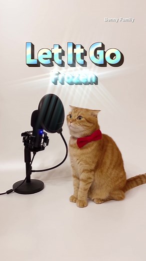 Benny the Cat's 'Let It Go' FROZEN Cover | Disney Cat Song