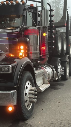 #fyp #logtruck #real #kw#w900 | Log Truck