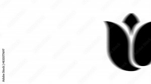 Animation set, tulip. Animations: transparency, zooms, transition top to down, transition left to right, slide up to down, slide left to right