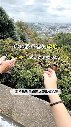 宇治一日遊懶人包：除了抹茶，還有這 4 個必訪景點！✨ #老蕭與馬琳愛旅遊 #宇治一日遊 #宇治景點 #京都旅遊 #京都自由行 #日本旅遊 #日本自由行 #平等院 #宇治上神社 #宇治川 #抹茶