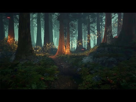 Enchanted Forest - Music & Ambience ✨🌲🧚🏻